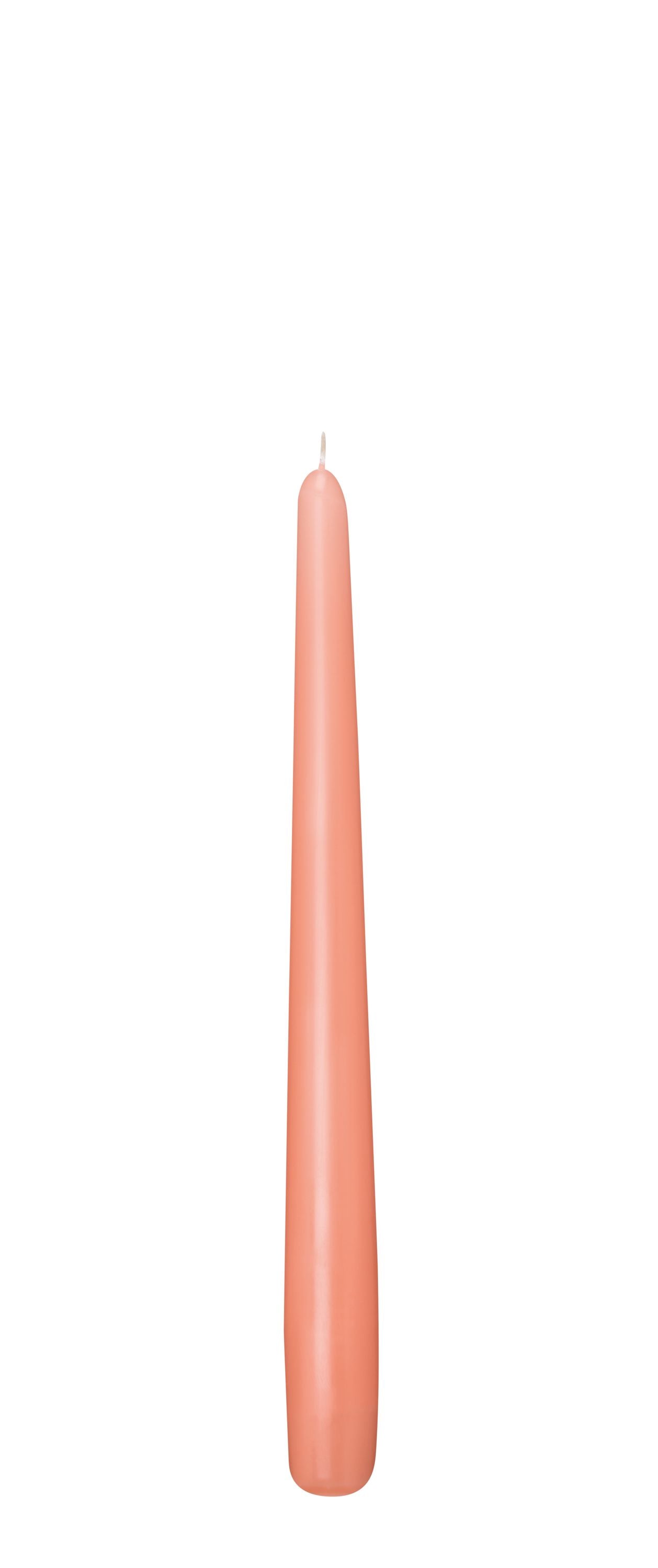 Spitzkerzen 50er Pack Apricot