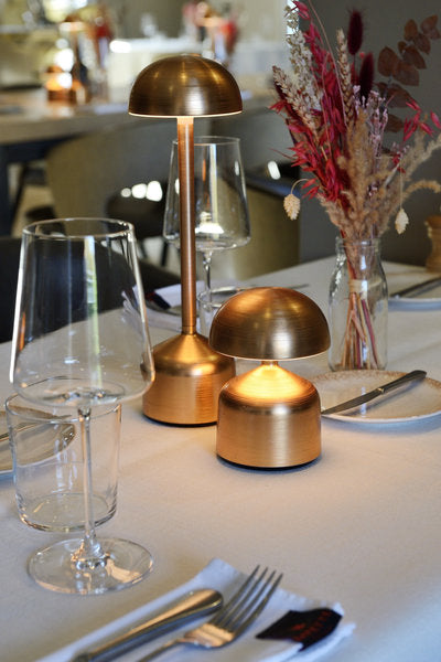 DEMOISELLE TALL - BOWL LED-Akku-Tischleuchte Aluminium/Milchglasoptik