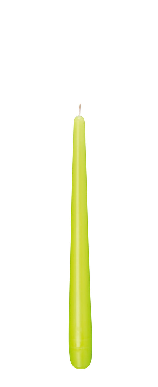Spitzkerzen 50er Pack Hellgrün